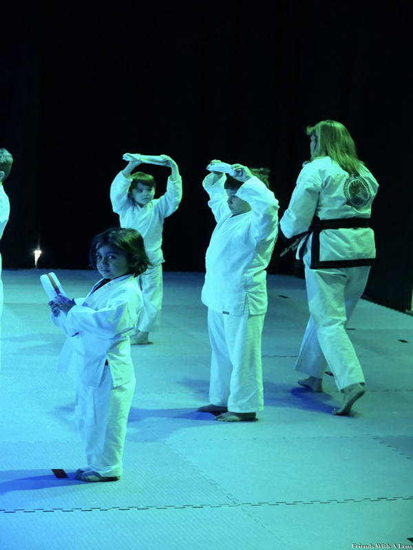 Eagle Academy of Martial Arts 393